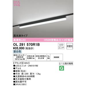 ODELIC（オーデリック） ベースライト 【OL291570R1B】【OL 291 570R1B
