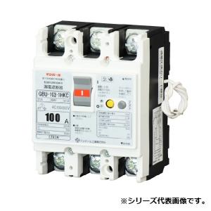 テンパール工業　U10301HKC630　漏電ブレーカ 住宅用分電盤 パールテクト組込専用 分電盤協約形サイズ 単3中性線欠相保護付 60A 30mA [££]｜maido-diy-reform