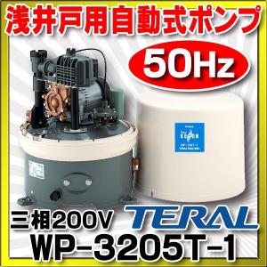 テラル(旧三菱) 浅井戸用自動式ポンプ 単相100V 60Hz【WP-256T-1