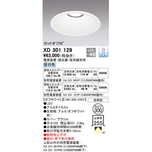 ODELIC（オーデリック） XD301097 ダウンライト 埋込穴φ300 電源装置