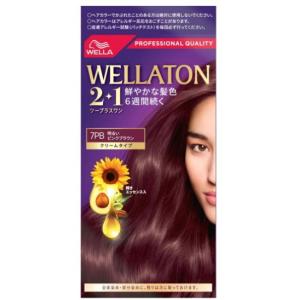 WELLATON 2+1 マットブラウン 6個セット ウエラトーン2+1 液状タイプ 8GM より明るいマットブラウン ( 12箱