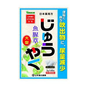 【第3類医薬品】山本漢方 日本薬局方 じゅうやく (5g×48包)