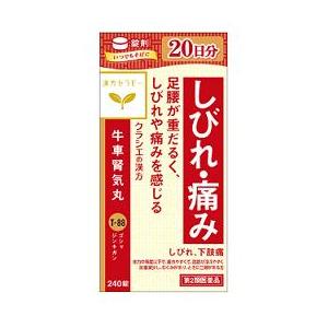 【第2類医薬品】【クラシエ】牛車腎気丸料エキス錠 ［240錠］（ごしゃじんきがん）