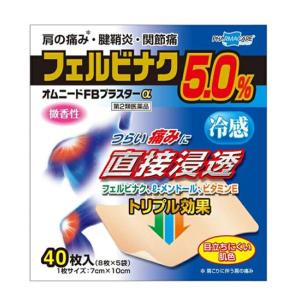 オムニードＦＢプラスターαの商品画像