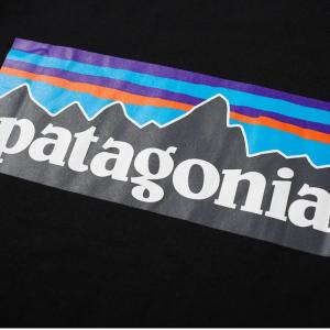 パタゴニア patagonia Tシャツ P-...の詳細画像5