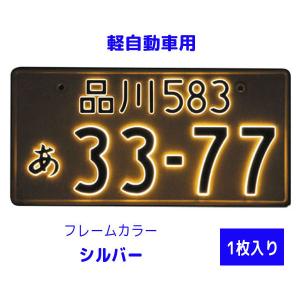 字光式 LED ナンバープレート 照明器具 大型トラック24V用 3112-24V