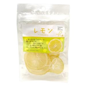 ドライフルーツミニレモン４０ｇ レモン ドライフルーツ レモンピール お菓子 スイーツ
