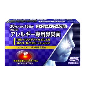 エメロットＦＸソフトカプセルの商品画像