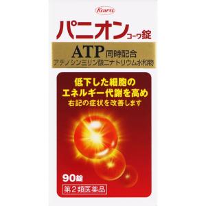 【第2類医薬品】パニオンコーワ錠(90錠) パニオン 血流改善 エネルギー代謝 保健薬 ビタミン剤　｜maidora