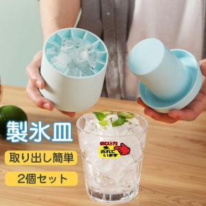 製氷皿 製氷器 シリコン 大容量 アイストレー 2個セット 製氷機 3d