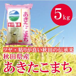 秋田県産 あきたこまち 5kg 5キロ 通販  あきたこまちの本場 秋田県の大自然で育ったお米　秋田...