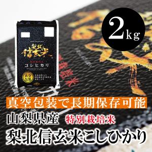 コシヒカリ 長野県産 信州上伊那のお米 こしひかり 10kg 白米 通販