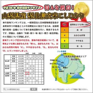 山梨県産 梨北信玄米 コシヒカリ 2kg 真空...の詳細画像2