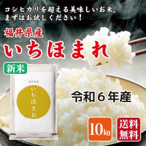 令和3年産 お米 米 10kg いちほまれ 福井県米
