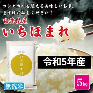 令和5年産 お米 米 ５kg 無洗米 福井県産 いちほまれ 福井県米 新米