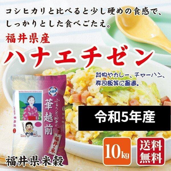 お米 米 10kg 新米 令和5年産 福井県産 華越前 ハナエチゼン 福井県米穀