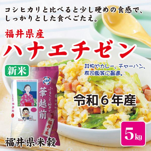 お米 米 新米 令和5年産５Kg 福井県産 華越前 ハナエチゼン 福井県米穀　