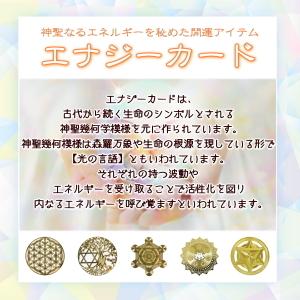 エナジーカード ヤントラ 繁栄 1枚売り 送料...の詳細画像1