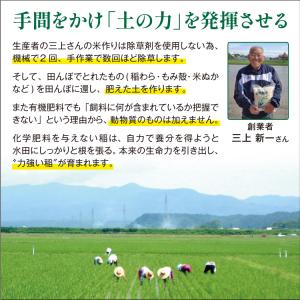 無農薬 米 5kg 新米 青森県産 有機米 オ...の詳細画像2