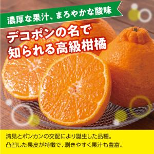 みかん 不知火 デコポン 5kg 訳あり 家庭...の詳細画像1