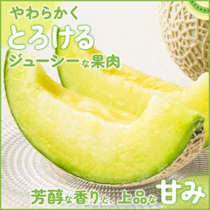 メロン マスクメロン 渥美半島 1玉 1.2k...の詳細画像1