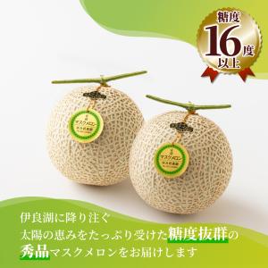 メロン マスクメロン 渥美半島 1玉 1.2k...の詳細画像4