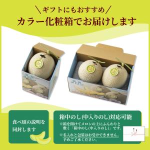 メロン マスクメロン 渥美半島 1玉 1.2k...の詳細画像5