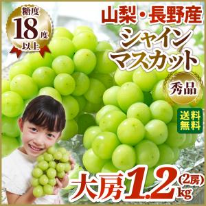 シャインマスカット 秀品 大房1.2kg (2房) 山梨・長野産 産地厳選 ぶどう お届け9月10日以降から10月中旬 送料無料