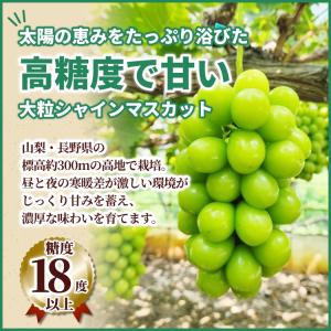 シャインマスカット 秀品 大房1.2kg (2...の詳細画像2