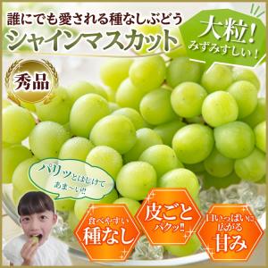 シャインマスカット 秀品 大房1.2kg (2...の詳細画像3