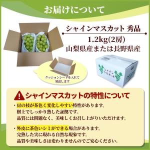 シャインマスカット 秀品 大房1.2kg (2...の詳細画像5
