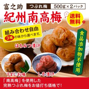 JA紀南 送料無料 紀州産南高梅干 つぶれ梅よりちょっといい訳あり