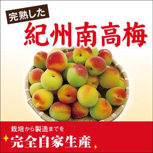 梅干し 無添加 紀州南高梅 はちみつ漬け つぶ...の詳細画像2