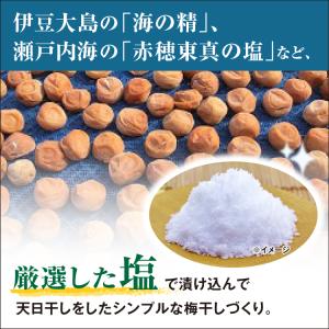梅干し 無添加 紀州南高梅 はちみつ漬け つぶ...の詳細画像3