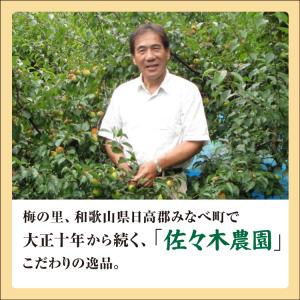 梅干し 無添加 紀州南高梅 はちみつ漬け つぶ...の詳細画像5