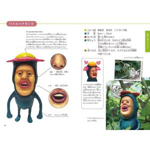 ★送料&ラッピング無料★ 『こびと大百科(増補...の詳細画像1