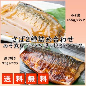 さば味噌煮 照り焼き 冷凍 2種12食 煮魚 漬け魚 焼き魚