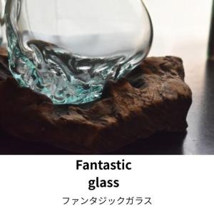 ファンタジック グラス&ポット 流木 ガラスの詳細画像2