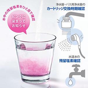 クリタック ウォーターチェッカー 残留塩素測定...の詳細画像1