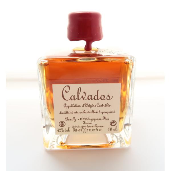 カルヴァドス VSOP ミニボトル100ml 42% - Calvados VSOP Mini カル...