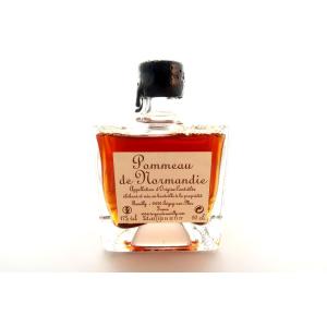 ポモードノルマンディー ミニボトル 100ml 17% - Pommeau de