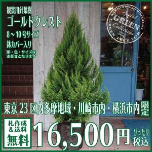 ゴールドクレストの商品一覧 通販 Yahoo ショッピング
