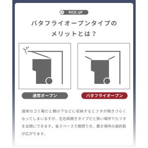 ゴミ箱 32リットル おしゃれ 分別 ごみ箱 ...の詳細画像3