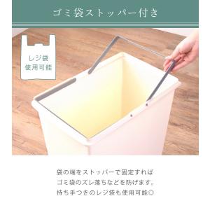 ゴミ箱 45リットル おしゃれ 屋外 分別 ご...の詳細画像3