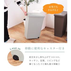 ゴミ箱 45リットル おしゃれ 屋外 分別 ご...の詳細画像5