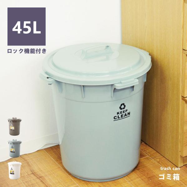 ゴミ箱 45リットル おしゃれ 分別 ごみ箱 屋外 ダストボックス 蓋付き スリム キッチン 45L...