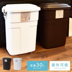 ゴミ箱 30リットル おしゃれ 屋外 分別 キッチン 北欧 フタ付き 安い シンプル ダストボックス 日本製 国産