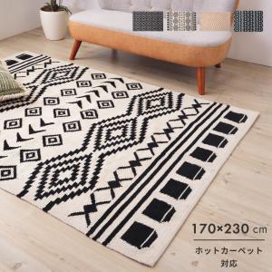 イケア（IKEA） STOENSE/ストエンセ ラグ パイル短170x240 cm オフ