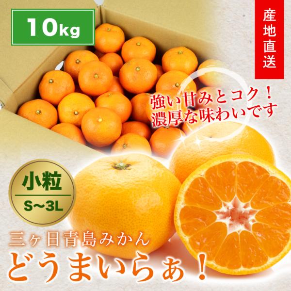【予約】三ヶ日 青島 みかん 10kg 送料無料 サイズ混合 どうまいらぁ！ 小粒 大粒 S 〜 3...