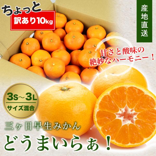【 ちょっと 訳あり 】 三ヶ日 早生 みかん 10kg 送料無料 訳あり どうまいらぁ！ 3S ~...